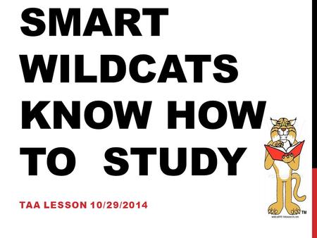 Smart Wildcats know how to Study