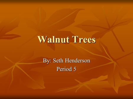 Walnut Trees By: Seth Henderson Period 5. Most Common Walnut Trees 21 species of Walnut Trees 21 species of Walnut Trees Persian Walnut: Located in Central.