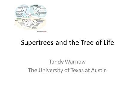 Supertrees and the Tree of Life