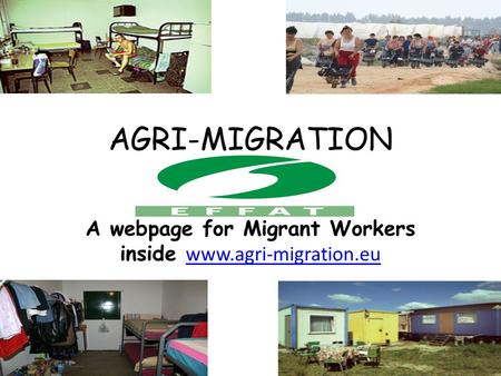 AGRI-MIGRATION WEBSITE A webpage for Migrant Workers inside www.agri-migration.eu www.agri-migration.eu.