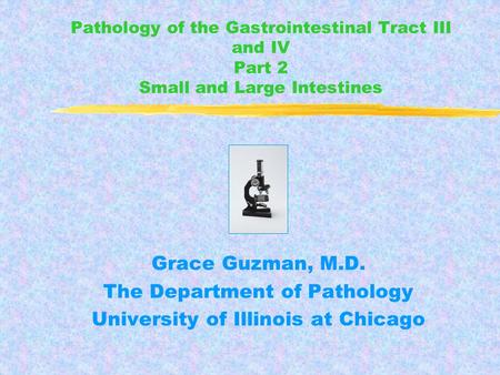 The Department of Pathology University of Illinois at Chicago