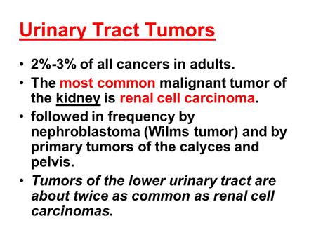 Urinary Tract Tumors 2%-3% of all cancers in adults. The most common malignant tumor of the kidney is renal cell carcinoma. followed in frequency by nephroblastoma.