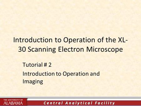 Introduction to Operation of the XL- 30 Scanning Electron Microscope Tutorial # 2 Introduction to Operation and Imaging.