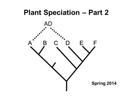 Plant Speciation – Part 2 AD ABCEDF Spring 2014. Major topics Variation in plant populations and species (1) Gene flow and reproductive isolating barriers.