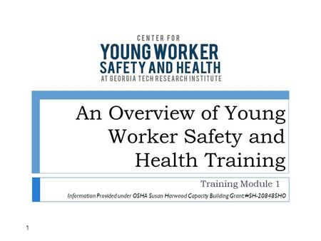 An Overview of Young Worker Safety and Health Training Training Module 1 1 Information Provided under OSHA Susan Harwood Capacity Building Grant: #SH-20848SHO.