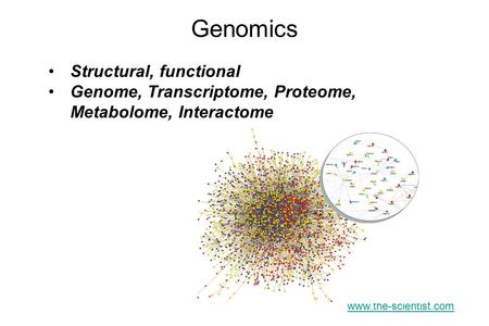 Structural, functional Genome, Transcriptome, Proteome, Metabolome, Interactome www.the-scientist.com Genomics.