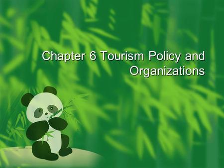 Chapter 6 Tourism Policy and Organizations