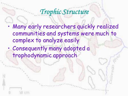 Trophic Structure Many early researchers quickly realized communities and systems were much to complex to analyze easily Consequently many adopted a trophodynamic.