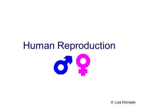 Human Reproduction © Lisa Michalek.