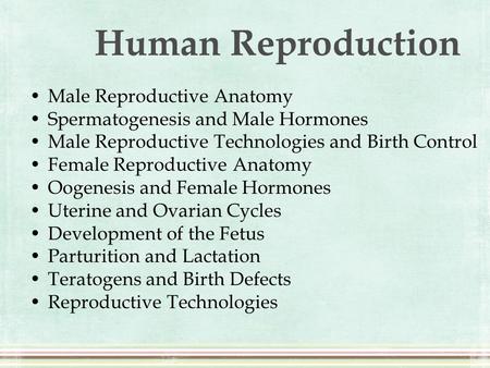 Human Reproduction Male Reproductive Anatomy