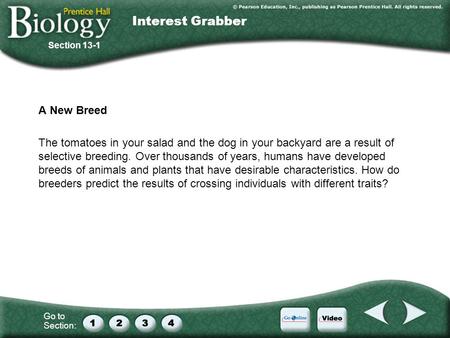 Interest Grabber A New Breed