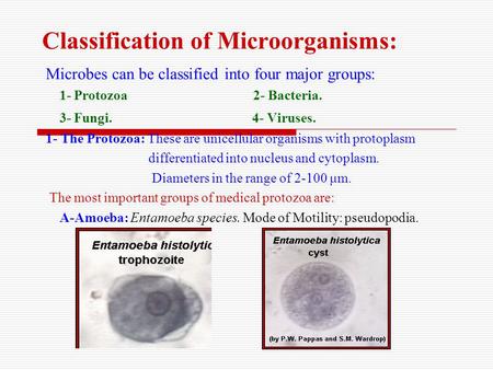 Classification of Microorganisms: