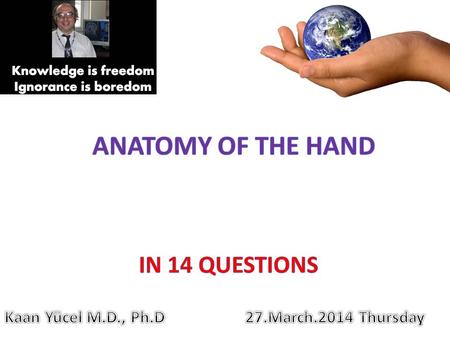Anatomy of the hand IN 14 QUESTIONS Kaan Yücel M.D., Ph.D