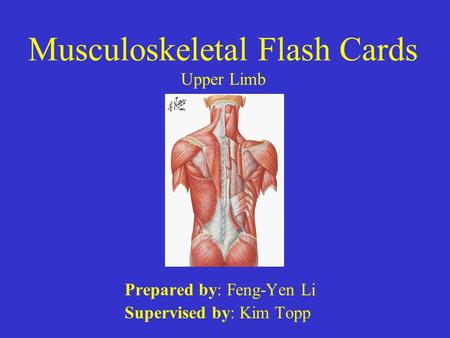 Musculoskeletal Flash Cards Upper Limb