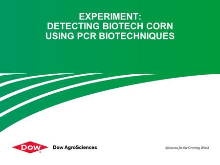 EXPERIMENT: DETECTING BIOTECH CORN USING PCR BIOTECHNIQUES.