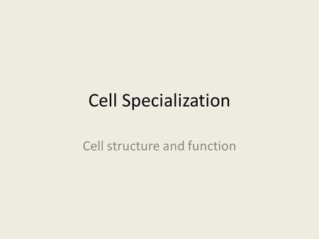 Cell Specialization Cell structure and function. Cell Specialization Specific cells are uniquely suited to carry out specific functions, some specific.