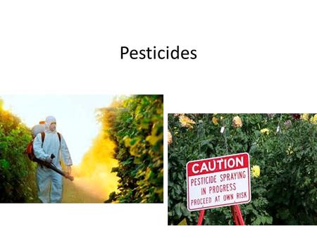 Pesticides. Pests are any species that interferes with human welfare by: – competing with us for food – invading lawns and gardens – destroying building.