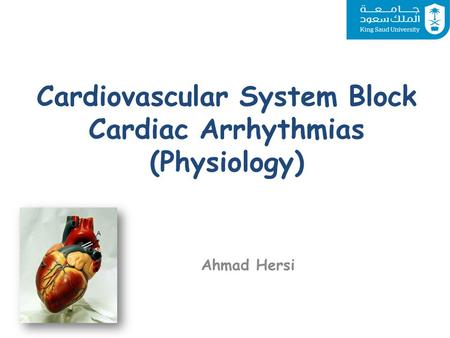 Cardiovascular System Block Cardiac Arrhythmias (Physiology)