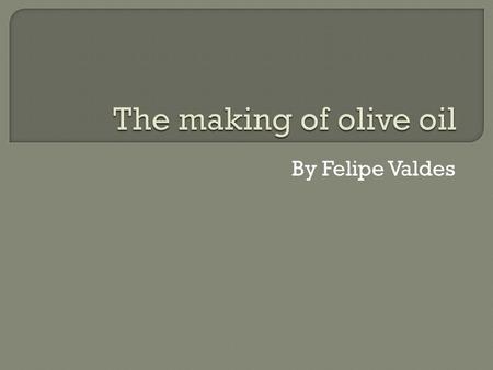 By Felipe Valdes. First they weight the olives. They buy the olives from farmers and the price depends on the quality of the product and if they are dirty.