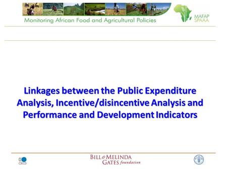 Linkages between the Public Expenditure Analysis, Incentive/disincentive Analysis and Performance and Development Indicators.