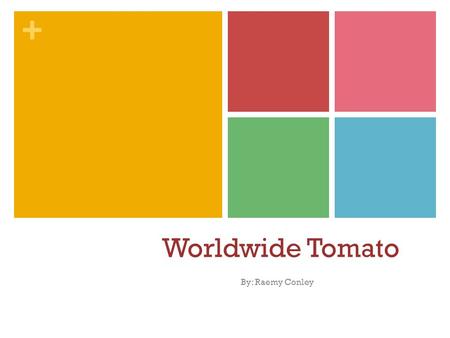 + Worldwide Tomato By: Raemy Conley. + A little about the Tomato: Native to western South America and Central America Spread throughout the world following.