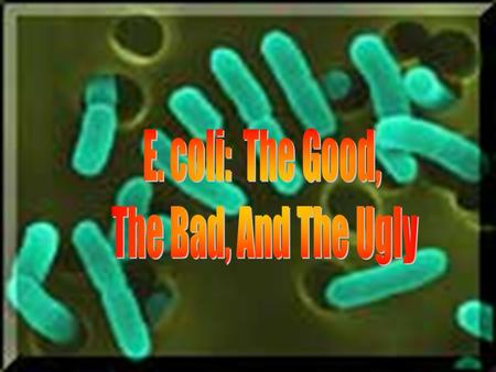 E. coli: The Good, The Bad, And The Ugly.