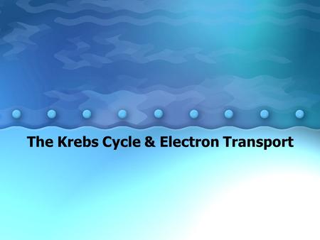 The Krebs Cycle & Electron Transport. Cellular Respiration Cellular Respiration: energy- releasing pathways within a cell. Because the pathways require.