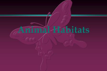 Animal Habitats.