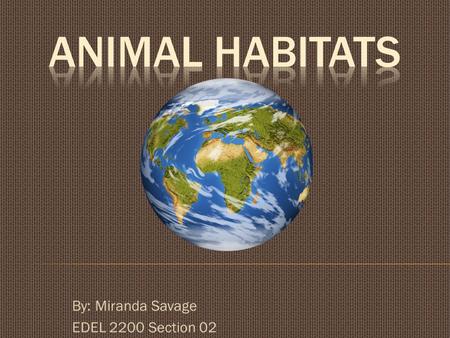 By: Miranda Savage EDEL 2200 Section 02.  Animals that live in the Desert:  Camels  Desert Tortoise  Fox  Mountain Lions  Meerkats  Military.