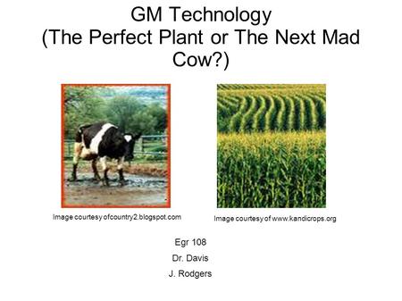 GM Technology (The Perfect Plant or The Next Mad Cow?) Image courtesy ofcountry2.blogspot.com Image courtesy of www.kandicrops.org Egr 108 Dr. Davis J.