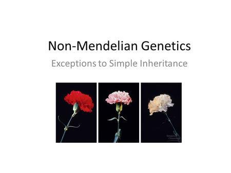 Non-Mendelian Genetics Exceptions to Simple Inheritance.