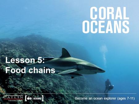 Lesson 5: Food chains Become an ocean explorer (ages 7-11)
