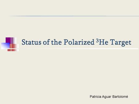 Status of the Polarized 3He Target