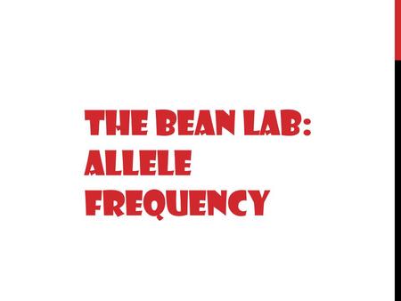 THE BEAN LAB: ALLELE FREQUENCY. THE BEAN ALLELE FREQUENCY LAB Purpose: The following pictures are a guide to show one example of how the allele frequency.