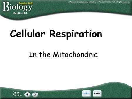 Section 9-1 Cellular Respiration In the Mitochondria.