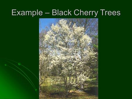 Example – Black Cherry Trees. The data frame trees is made available in R with >data(trees) and contains the well-known black cherry trees data. These.