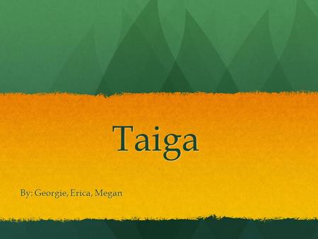Taiga By: Georgie, Erica, Megan. Defining characteristics of Taiga Taiga is the biome of the needle leaf forest and it’s also known as the boreal forest.