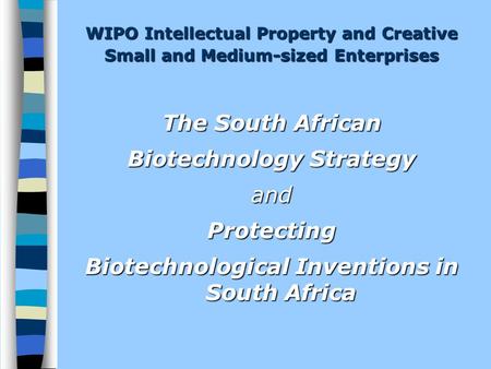WIPO Intellectual Property and Creative Small and Medium-sized Enterprises The South African Biotechnology Strategy andProtecting Biotechnological Inventions.