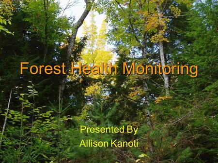 Forest Health Monitoring Presented By Allison Kanoti.