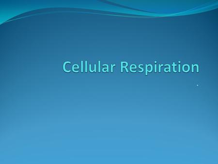 Cellular Respiration ..
