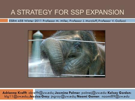 A STRATEGY FOR SSP EXPANSION Adrienne Krefft: Jasmine Palmer: Kelsey Gordon: Jessica Gray: