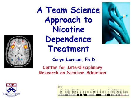 A Team Science Approach to Nicotine Dependence Treatment Caryn Lerman, Ph.D. Center for Interdisciplinary Research on Nicotine Addiction.