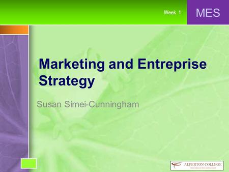 MES Week 1 Marketing and Entreprise Strategy Susan Simei-Cunningham.
