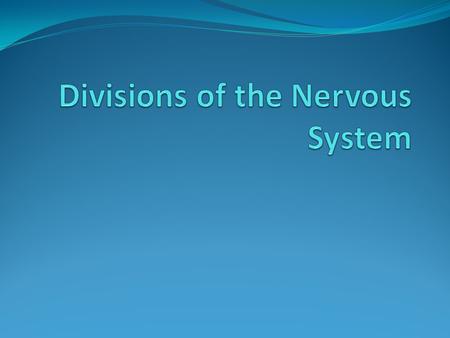 The Nervous System Nervous System – The entire network of neurons in the body. Includes: Central Nervous System Peripheral Nervous System Their subdivisions.