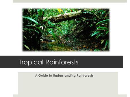 Tropical Rainforests A Guide to Understanding Rainforests.
