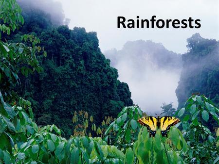 Rainforests. Two Types of Rainforests Tropical – Located along the equator – 80-400 inches of rain per year – Temperature between 70-85 degrees Temperate.