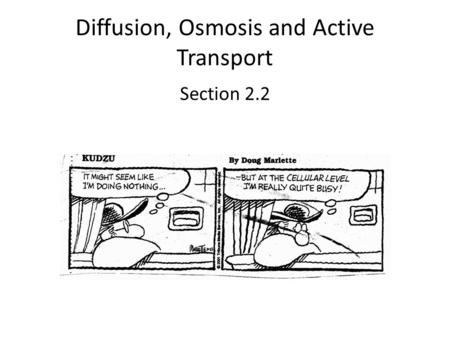 Diffusion, Osmosis and Active Transport Section 2.2.