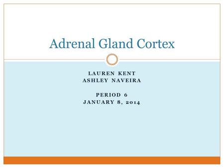 LAUREN KENT ASHLEY NAVEIRA PERIOD 6 JANUARY 8, 2014 Adrenal Gland Cortex.