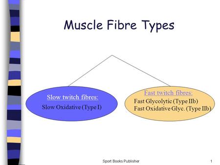Sport Books Publisher1 Muscle Fibre Types Slow twitch fibres: Slow Oxidative (Type I) Fast twitch fibres: Fast Glycolytic (Type IIb) Fast Oxidative Glyc.