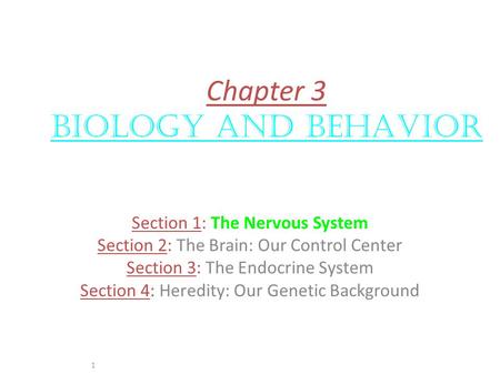 Chapter 3 BIOLOGY AND BEHAVIOR